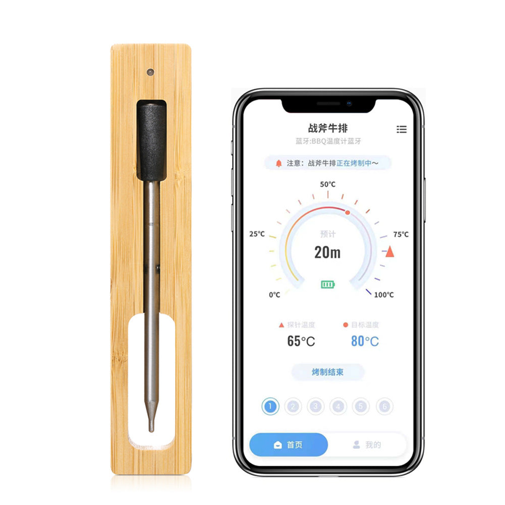 BBQ SmartProbe Thermometerv